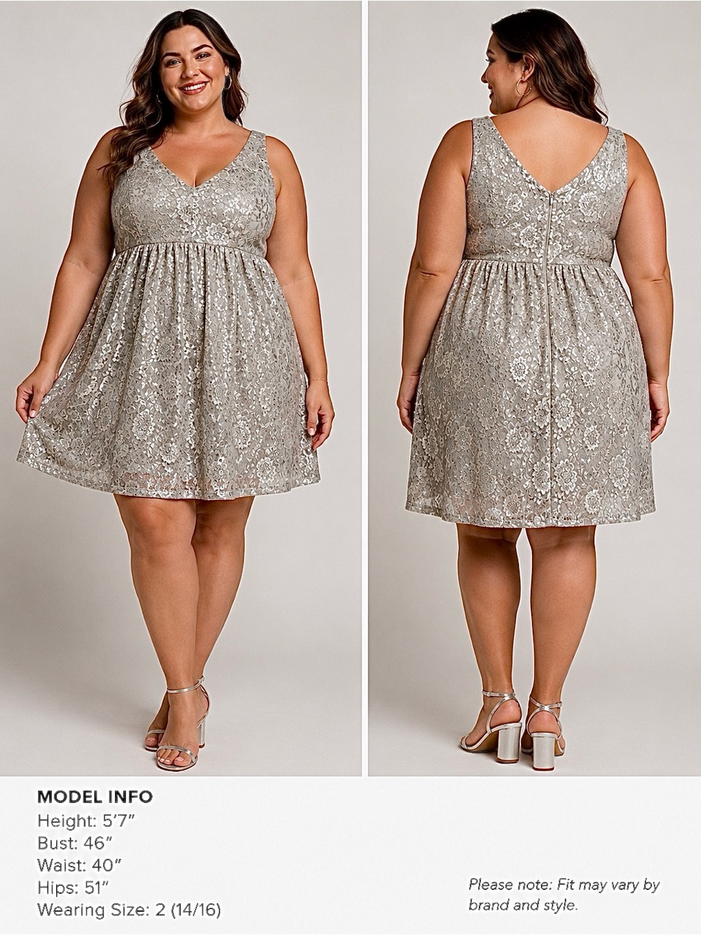 Silver Sequin Lace Fit & Flare Dress